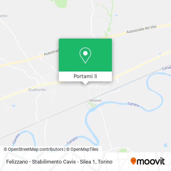 Mappa Felizzano - Stabilimento Cavis - Silea 1