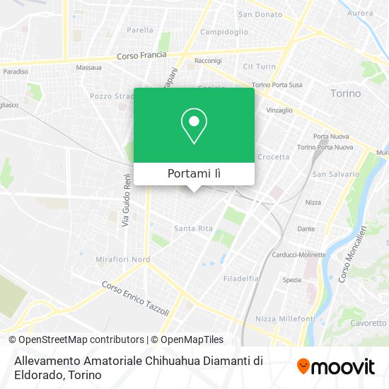 Mappa Allevamento Amatoriale Chihuahua Diamanti di Eldorado