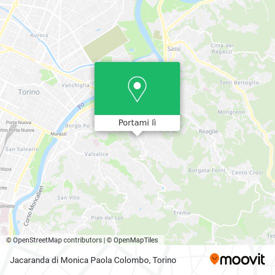 Mappa Jacaranda di Monica Paola Colombo