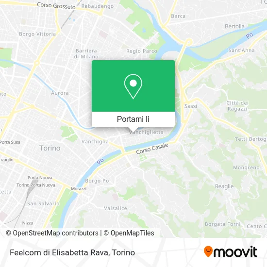 Mappa Feelcom di Elisabetta Rava