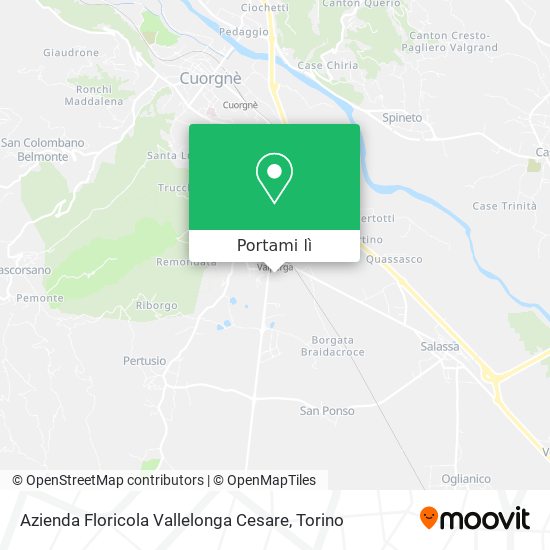 Mappa Azienda Floricola Vallelonga Cesare