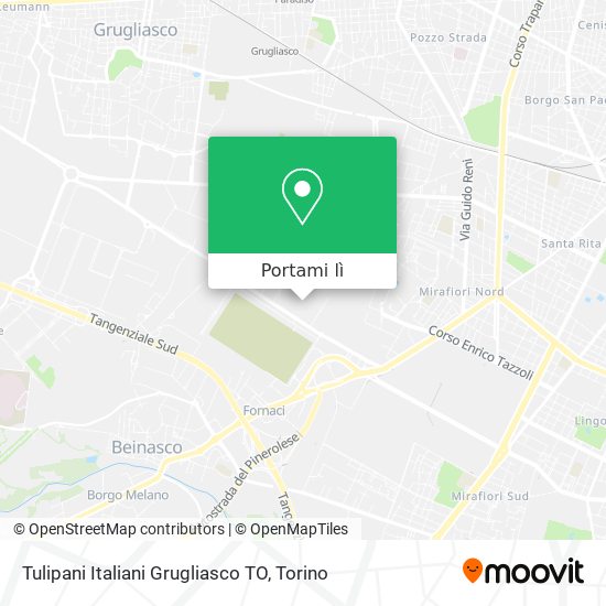 Mappa Tulipani Italiani Grugliasco TO