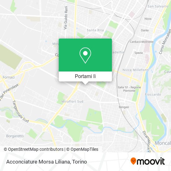 Mappa Acconciature Morsa Liliana