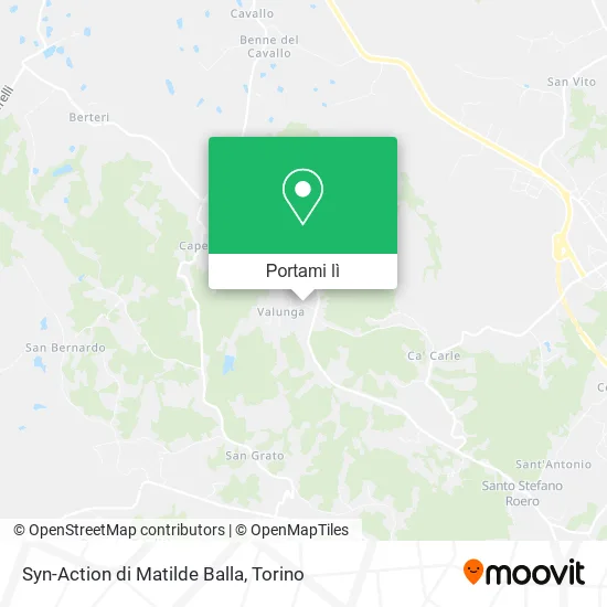 Mappa Syn-Action di Matilde Balla