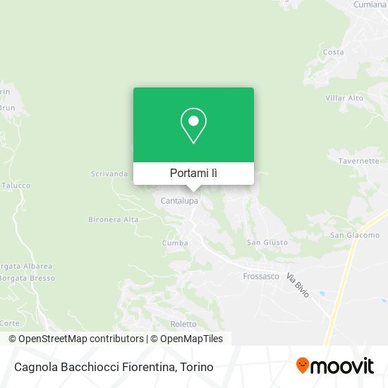 Mappa Cagnola Bacchiocci Fiorentina