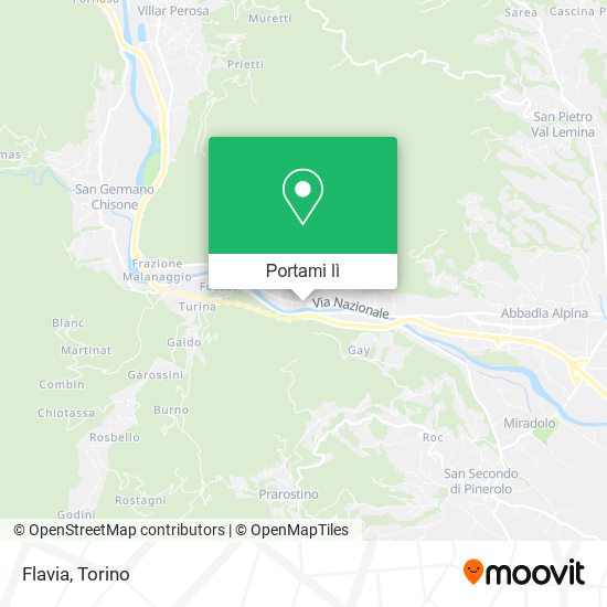 Mappa Flavia