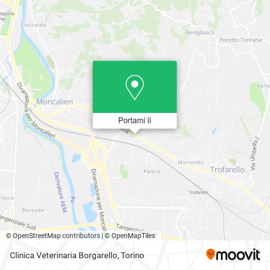 Mappa Clinica Veterinaria Borgarello