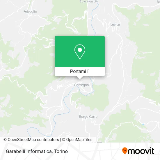 Mappa Garabelli Informatica