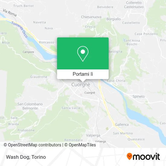 Mappa Wash Dog