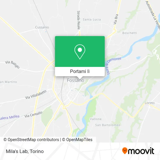 Mappa Mila's Lab