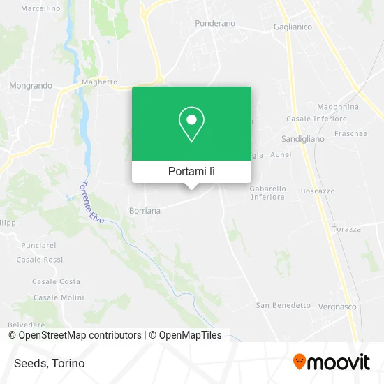 Mappa Seeds