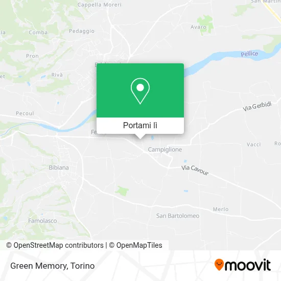 Mappa Green Memory