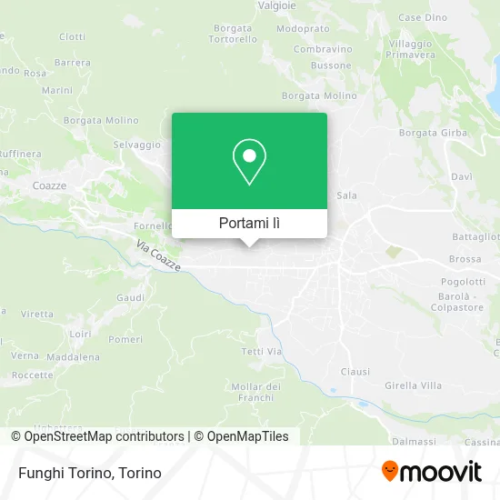 Mappa Funghi Torino