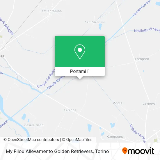 Mappa My Filou Allevamento Golden Retrievers