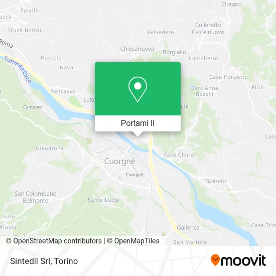 Mappa Sintedil Srl