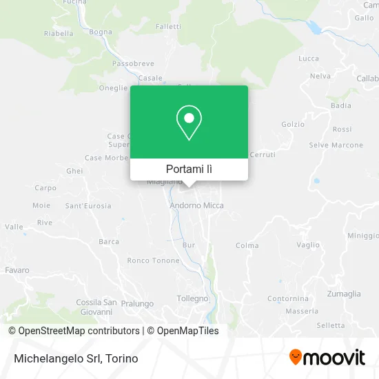 Mappa Michelangelo Srl