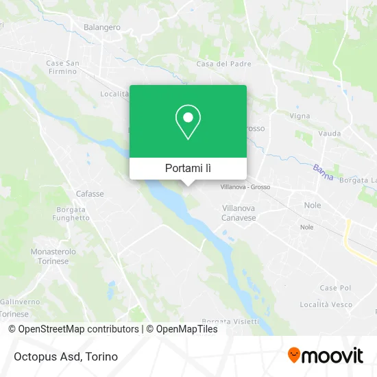 Mappa Octopus Asd