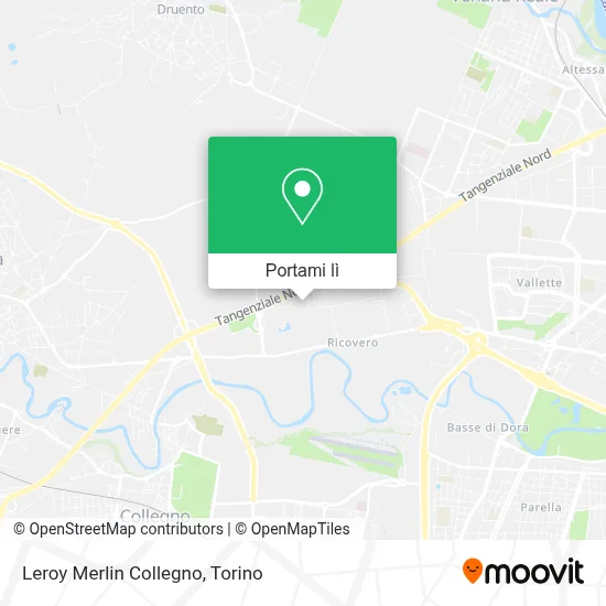 Mappa Leroy Merlin Collegno