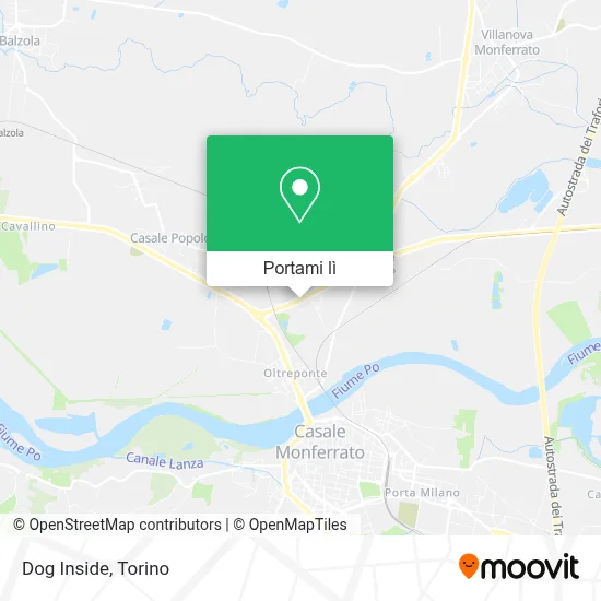 Mappa Dog Inside