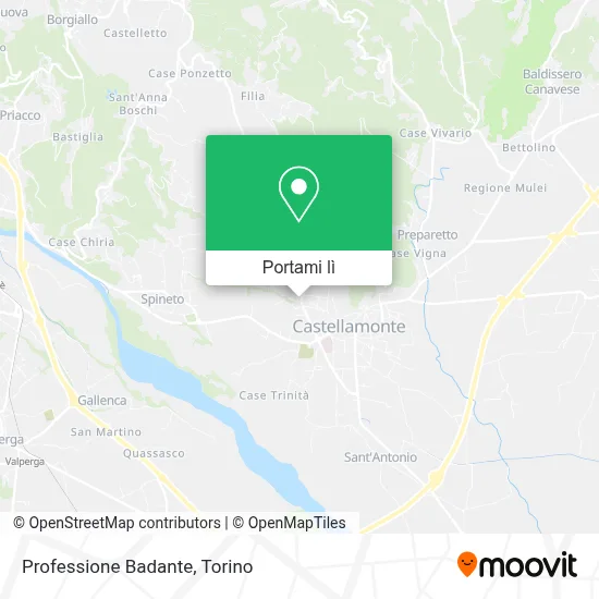 Mappa Professione Badante