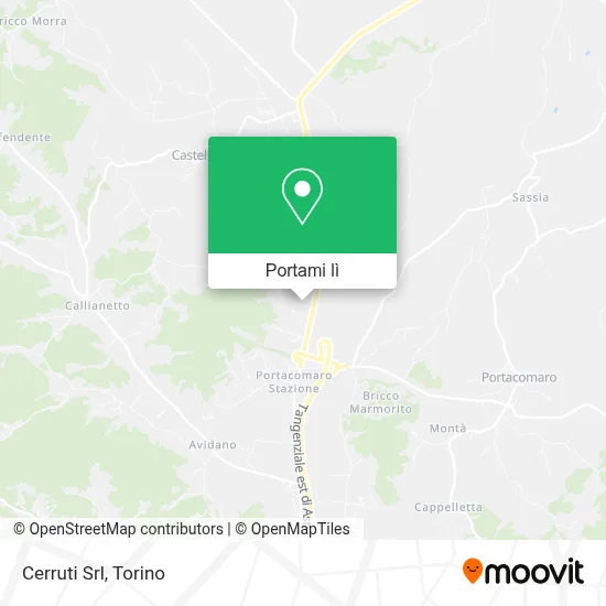 Mappa Cerruti Srl