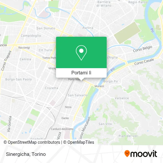 Mappa Sinergicha