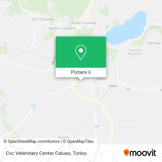 Mappa Cvc Veterinary Center Caluso