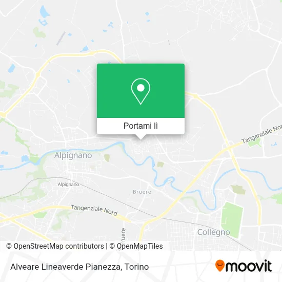 Mappa Alveare Lineaverde Pianezza