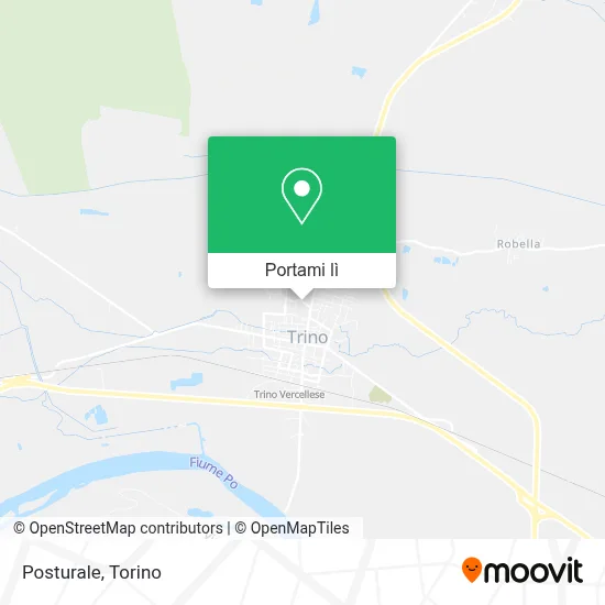 Mappa Posturale
