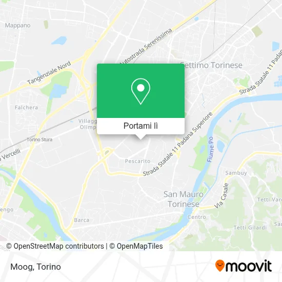 Mappa Moog