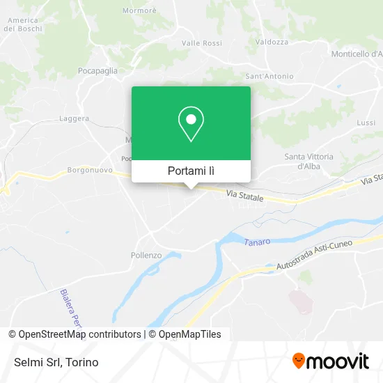 Mappa Selmi Srl