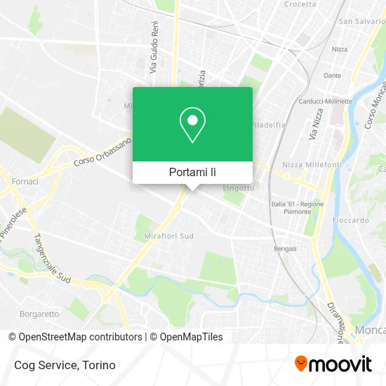 Mappa Cog Service