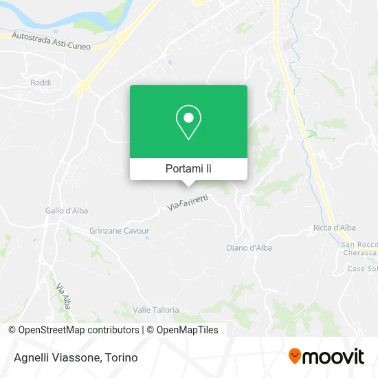 Mappa Agnelli Viassone