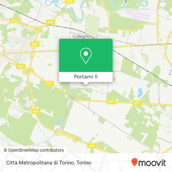 Mappa Città Metropolitana di Torino