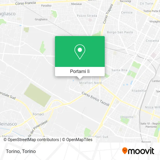 Mappa Torino