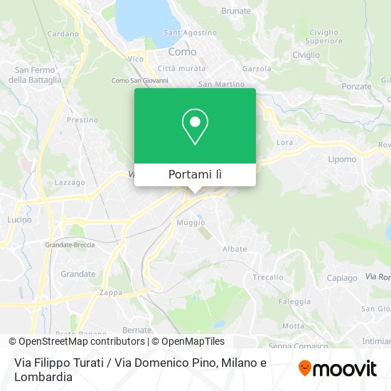 Mappa Via Filippo Turati / Via Domenico Pino