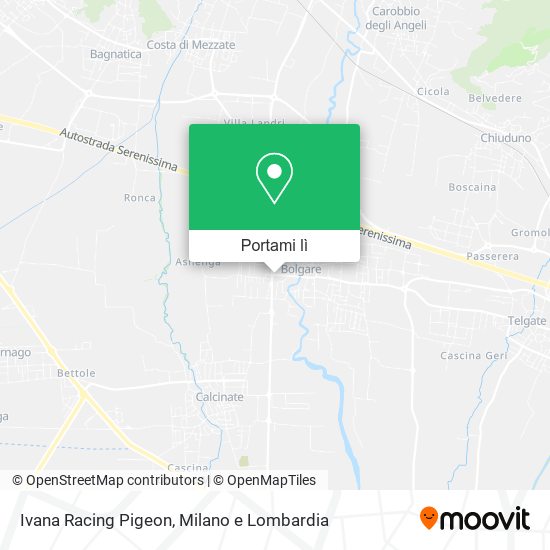 Mappa Ivana Racing Pigeon