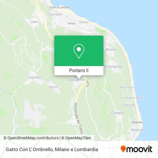 Mappa Gatto Con L' Ombrello