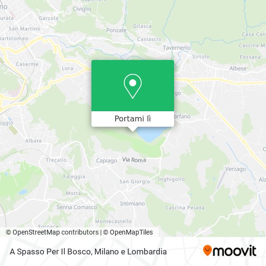 Mappa A Spasso Per Il Bosco