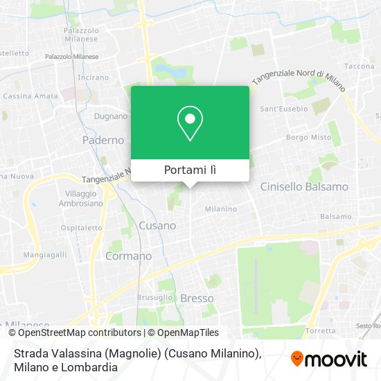 Mappa Strada Valassina (Magnolie) (Cusano Milanino)
