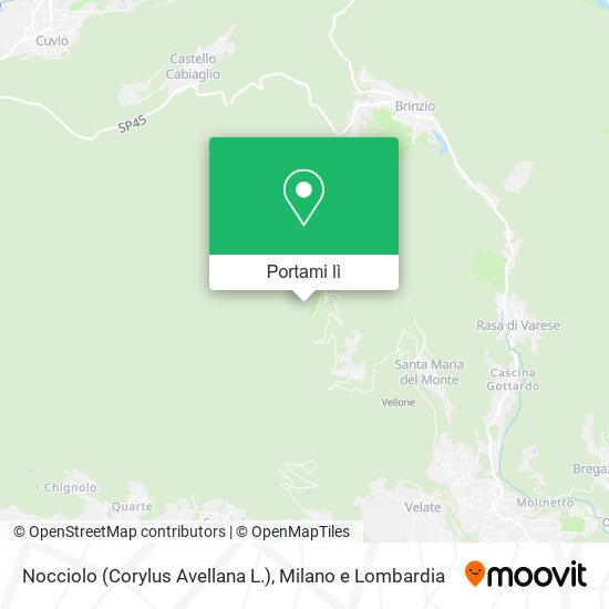 Mappa Nocciolo (Corylus Avellana L.)
