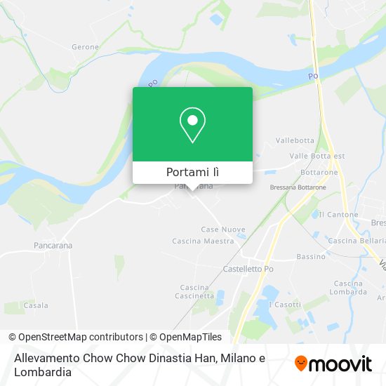 Mappa Allevamento Chow Chow Dinastia Han