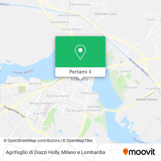 Mappa Agrifoglio di Diazzi Holly