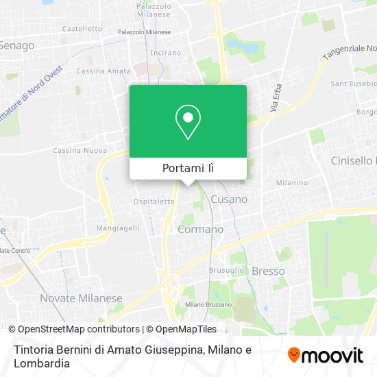 Mappa Tintoria Bernini di Amato Giuseppina