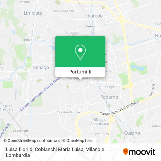 Mappa Luisa Fiori di Cobianchi Maria Luisa