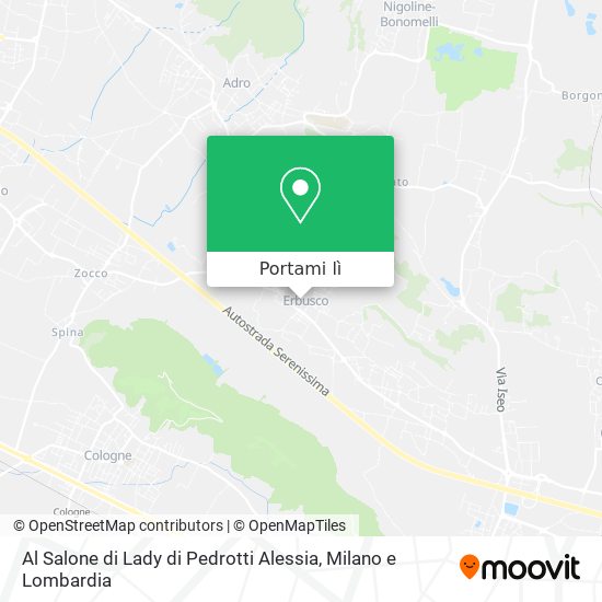 Mappa Al Salone di Lady di Pedrotti Alessia