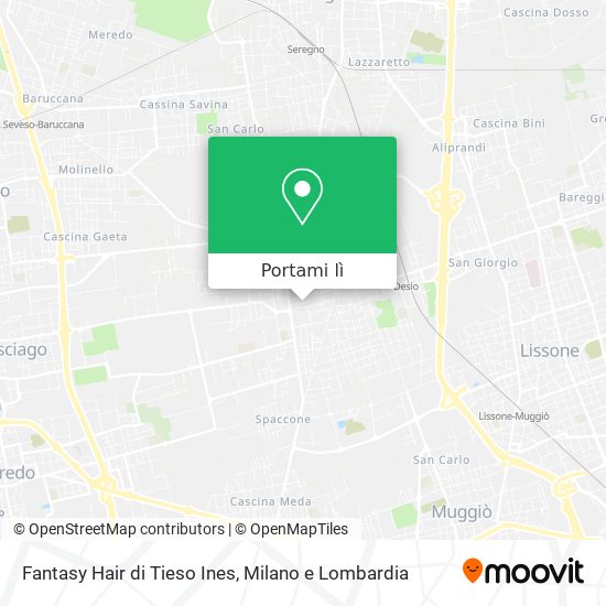 Mappa Fantasy Hair di Tieso Ines