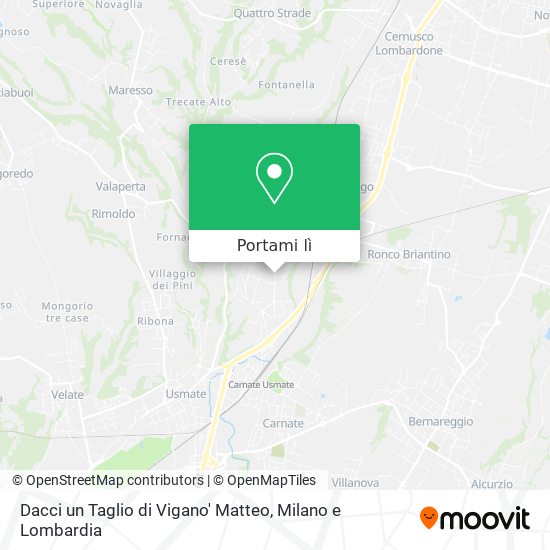 Mappa Dacci un Taglio di Vigano' Matteo