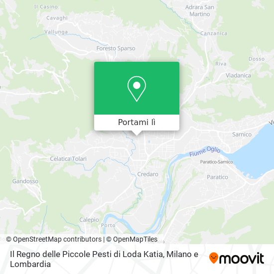 Mappa Il Regno delle Piccole Pesti di Loda Katia