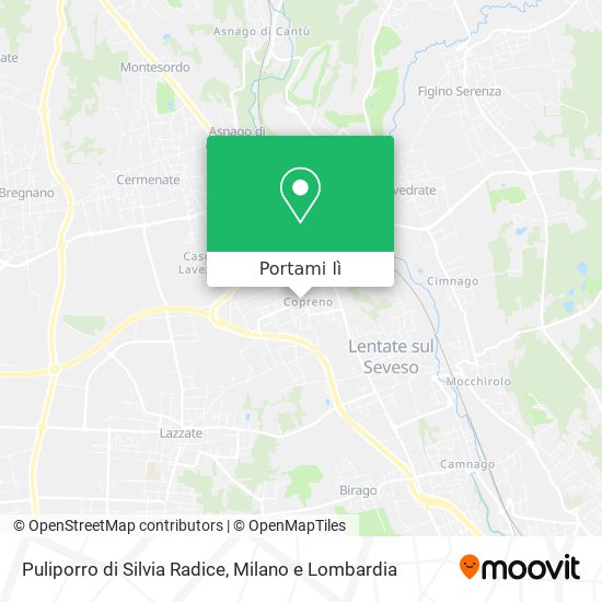 Mappa Puliporro di Silvia Radice